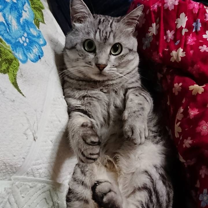 473df847 6ca1 43f4 b2f0 33f0da3b0bff