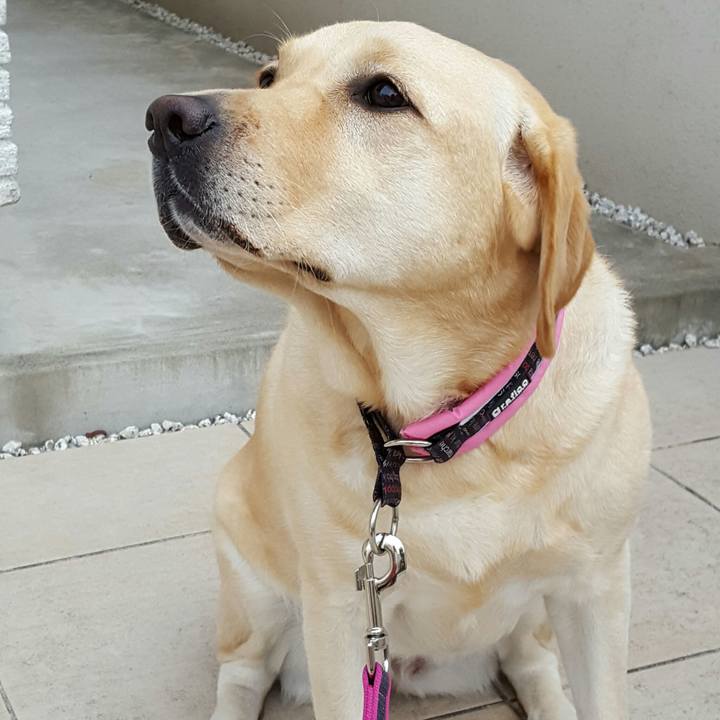 473ea163 ec7e 43ba 9dbe 3add0426cd38