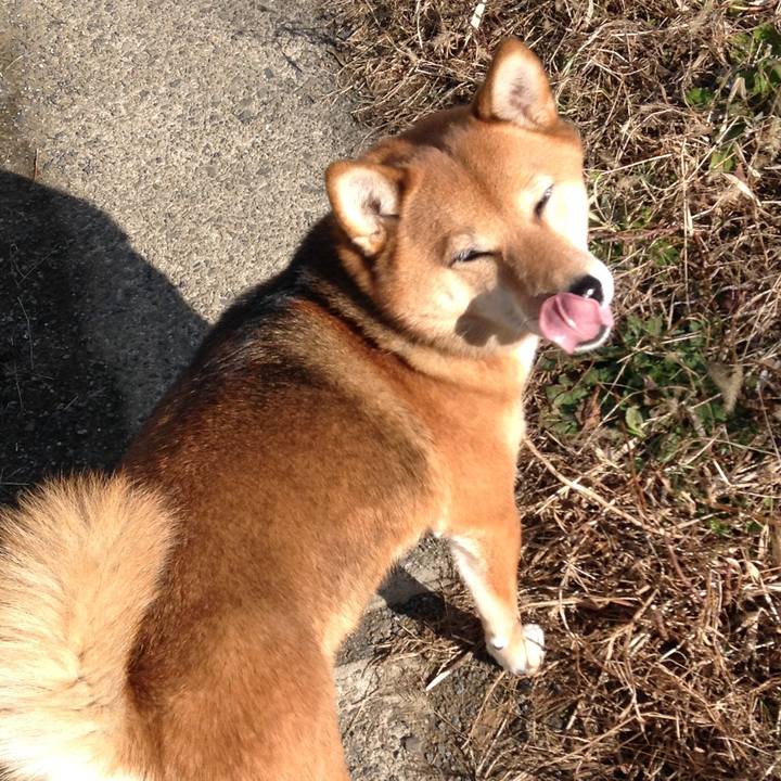 473eb521 94ba 46aa 9c48 a4fdc63bae67