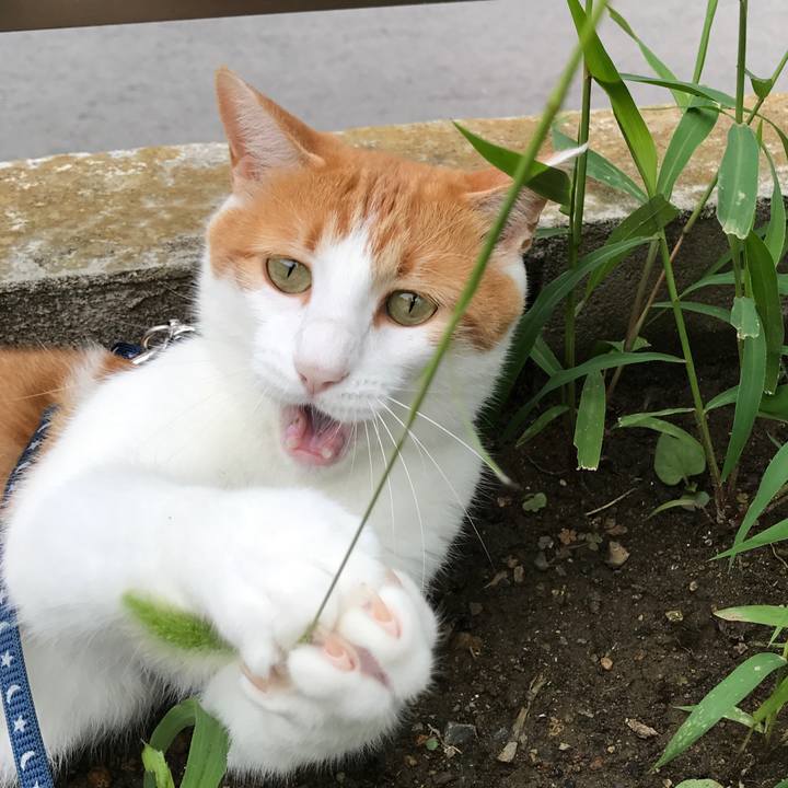 473edae2 37df 4e4e b7e2 3ba503d0fb24