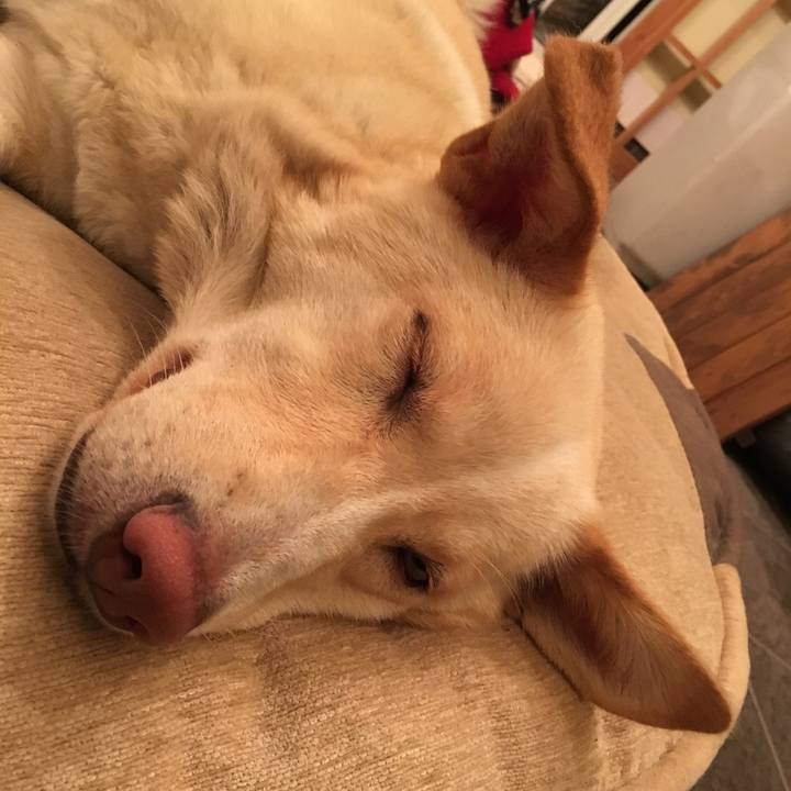 473f8b82 83b0 4b92 b337 69af335ae497