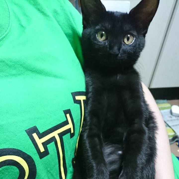 473fead3 2333 480d 888d 47d8064401d8