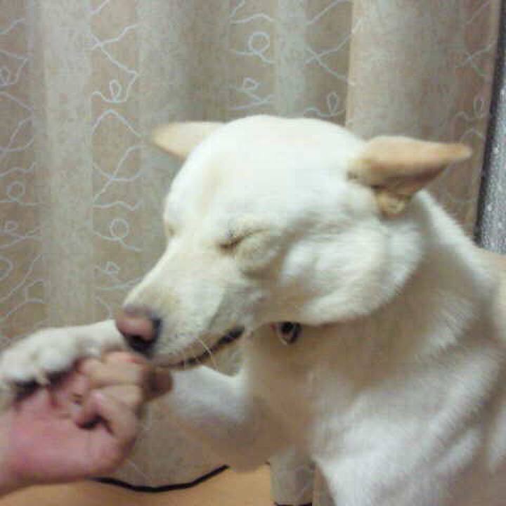 4740d7b9 ef07 43f8 b6e8 9b19968cd8f6