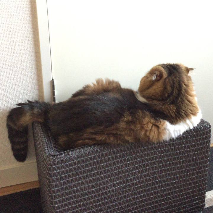 4740e06b fc3c 419b b364 3042f1ad75d3