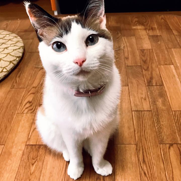 4740f04f 87d1 46c6 b674 081f2e8f748a