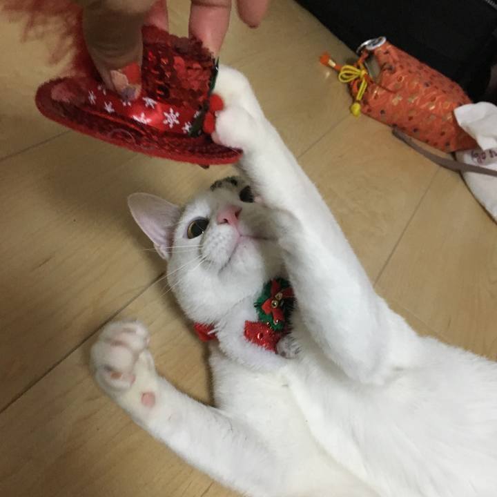 4741c795 6cdc 42aa 9316 70902df48058