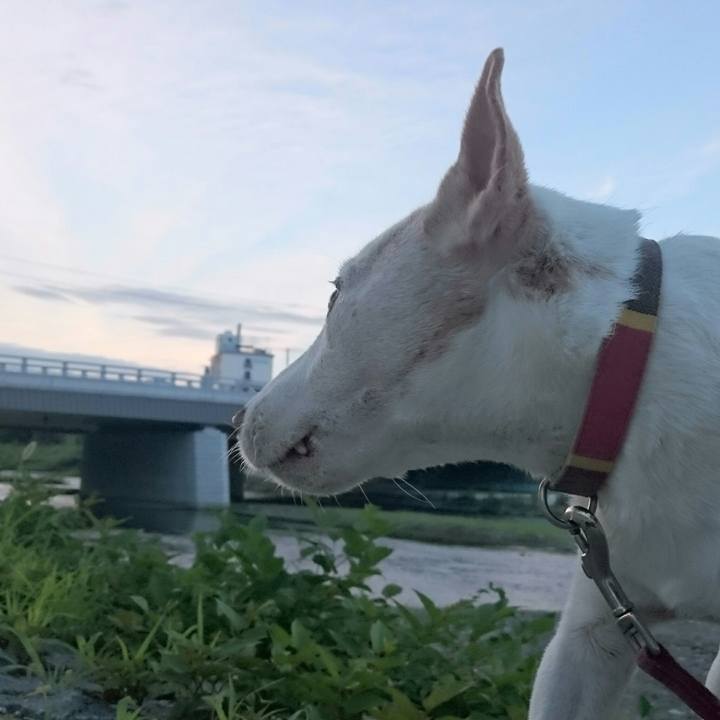 4741e7eb 81bf 4a4e 9a82 945b447a0cd4