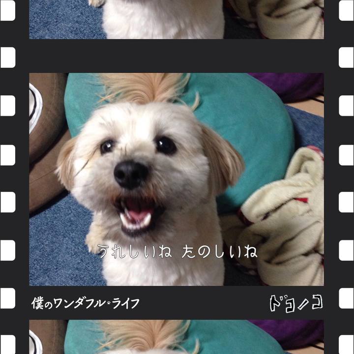 47425586 cec1 45fd b372 a6ce70270c91