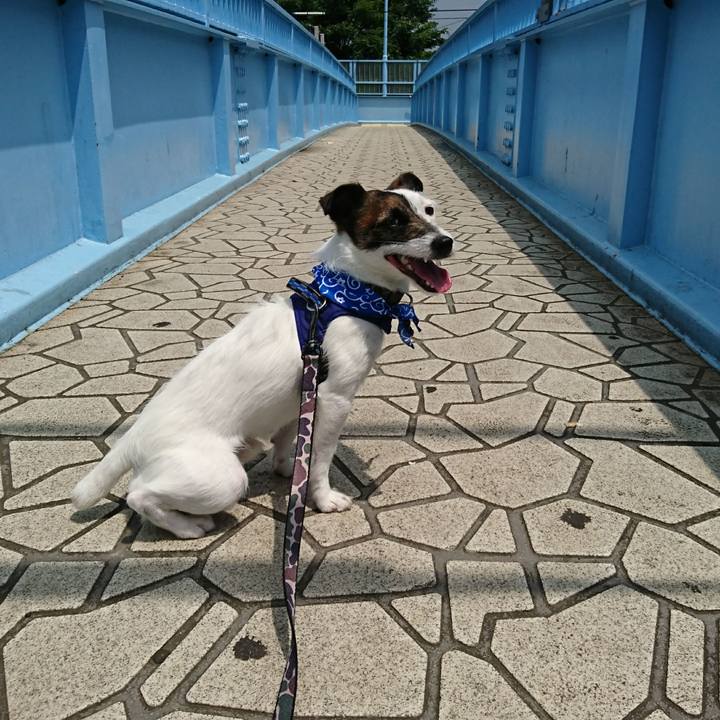 47431da3 ba54 4531 85d4 5164ecd07c0a