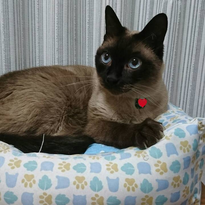 4744485b 0840 4e0a ba2e c6523e63af30