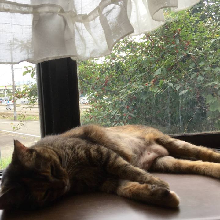 4744b0a8 1402 4859 88c0 e8a50e6760ec