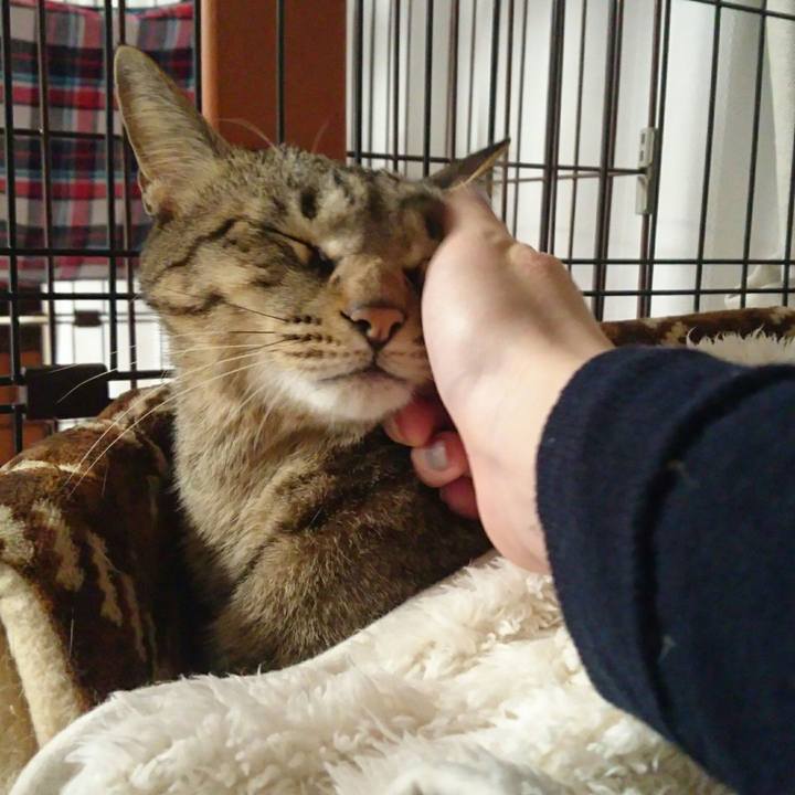 47451304 6724 42f6 8112 64a990e72872