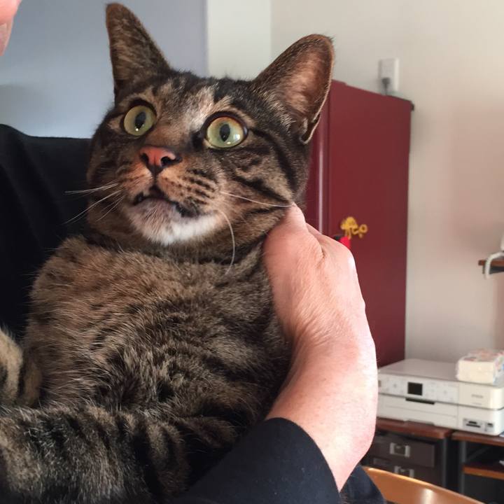 4745d191 6503 4855 825a 0554dea593aa