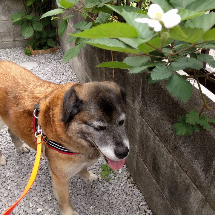 4746fe93 4187 4e0b b16e 12d1375ca5df