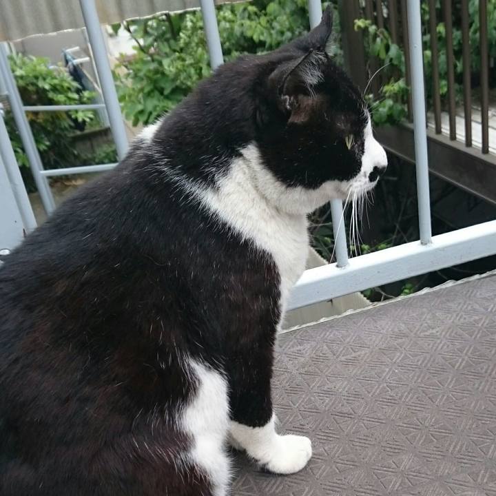 47477748 ca78 4354 b006 9b18bc0d5f4f