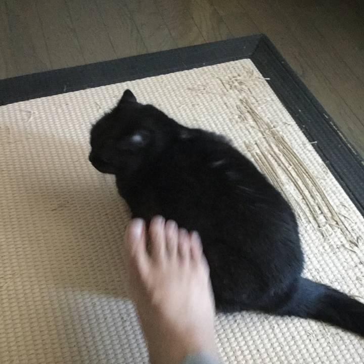 47478e32 7c55 4908 933d 02cf486c5a95