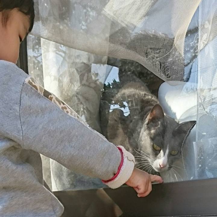 47481eaf 5013 414e a80e 0504babf7aa9