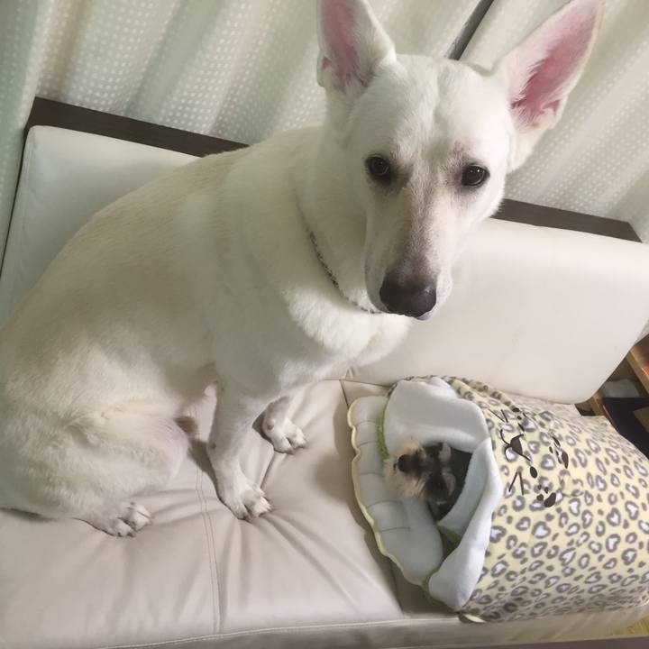 47486cc8 3273 48ca 828f 95e8dd188142