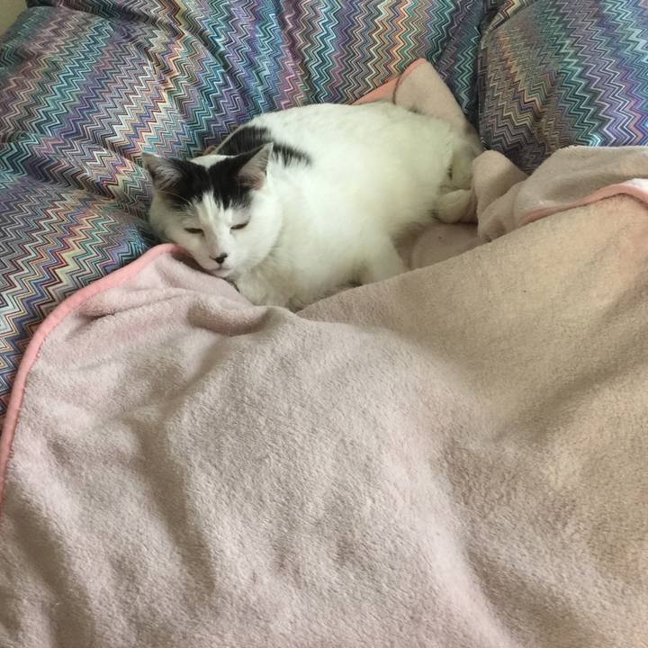 47488a3d 5df3 401e 88fd 466ec69ca9c8