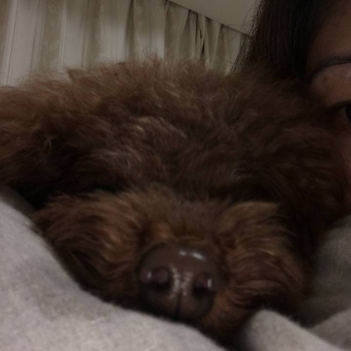 4748b9ba 7839 4cff a6cc 09db7f58f711