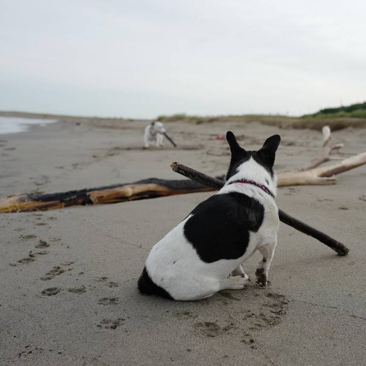 4748bdc9 5694 4fa3 9035 9a69959f5e49