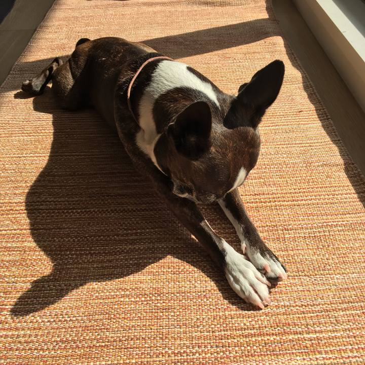 4749137f 7eac 4a87 953a a6e0c972d3ea