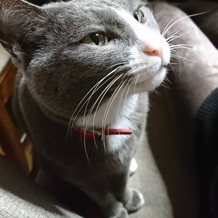 47498d9d 445d 4414 bd1f 2e09f3d9eeb0