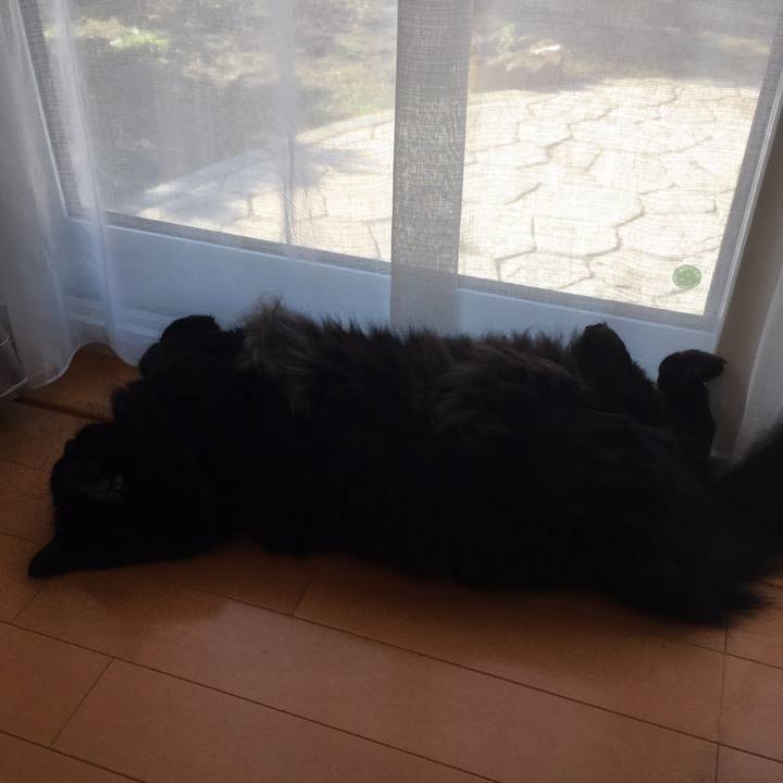 47499007 ed72 4422 ad00 8baf6324a973