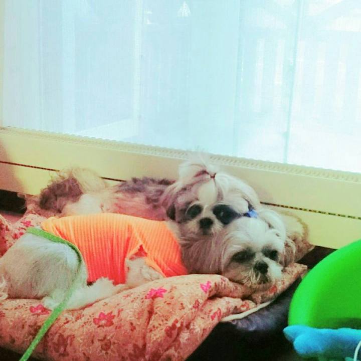 474adab7 7ab1 4c6f 9d39 a445ed1f7342