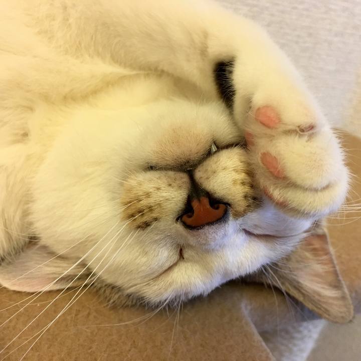 474b15e6 d0d6 4895 a431 89afb0ddf73d