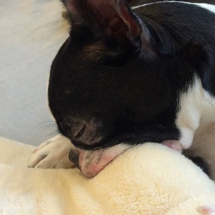 474b8c1f bd38 4ee5 a3ad c7e5fc02c506