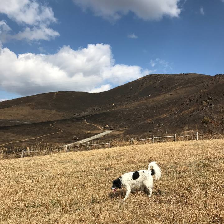 474ba065 54f3 45d2 8ba4 a367949c8beb