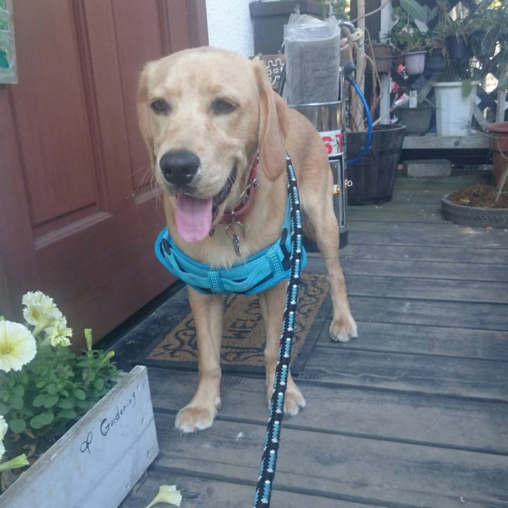 474c7189 b064 40e3 a4c0 e6bc46a7bfe0