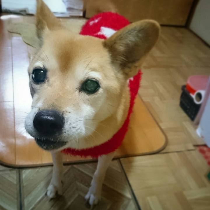 474d3cd1 93a0 4502 bf8b e4ffe462bee0