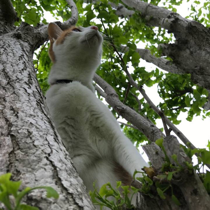 474de50a 8061 47ef 923a 664a8ba1e3de