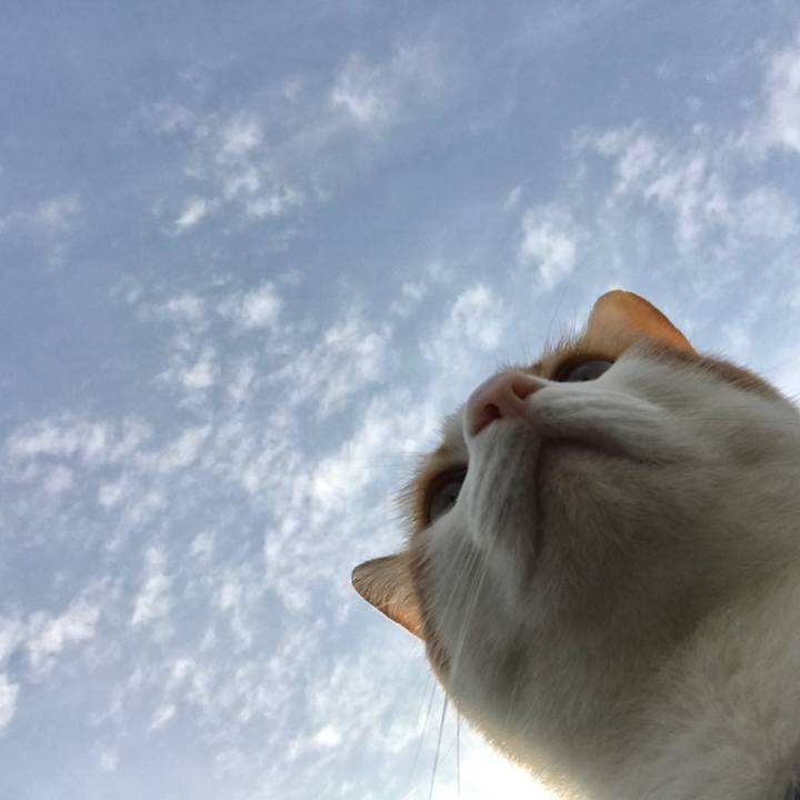 474e1ec5 0271 497a a7e9 f4789b2ea069