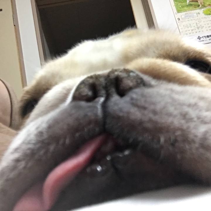 474e481f 896c 4951 9a8b a8adae6070d1