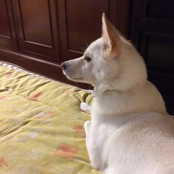 474e55b3 0a1b 411b bf9e 5422a3e883bb