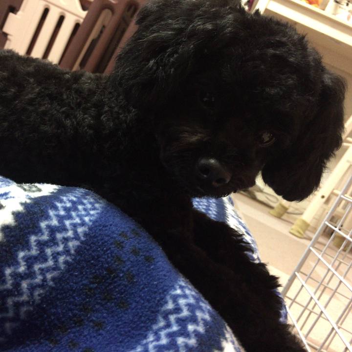 474f72b5 13ca 4576 9ed9 e25896c59a15