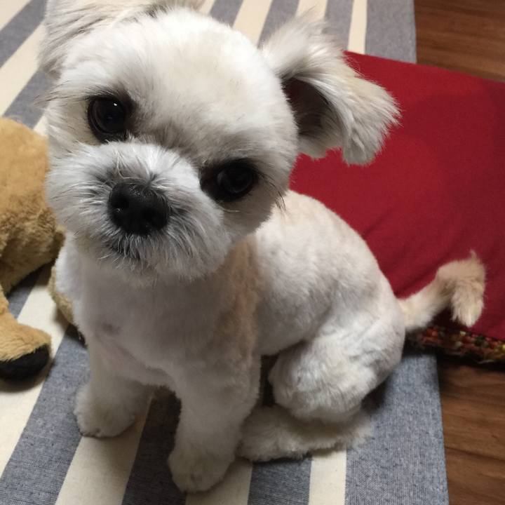 474f83e2 1ccf 4283 9ddf c884bd08942b