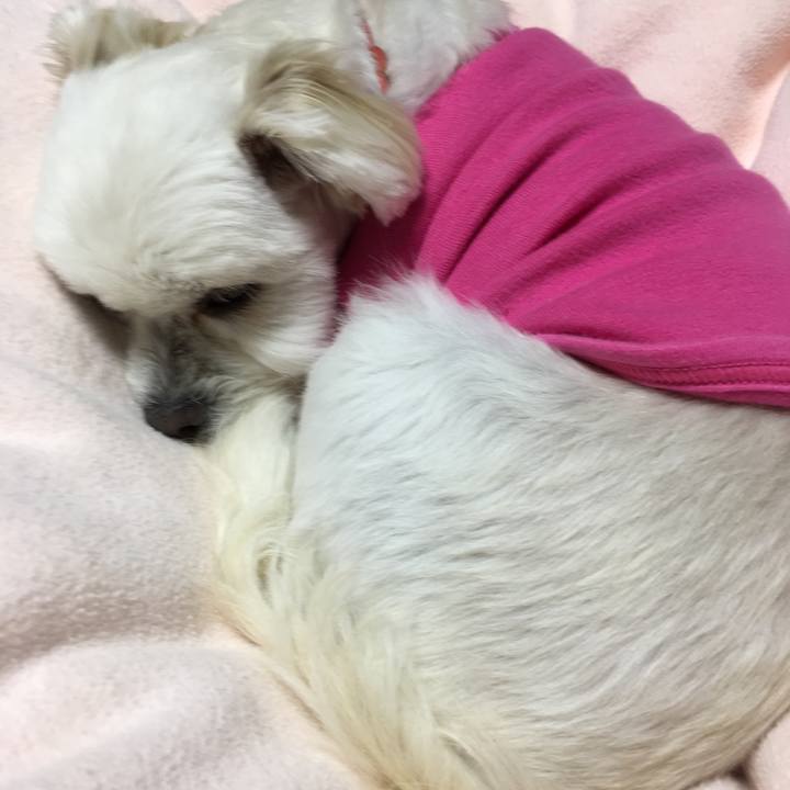 47506715 c234 4c04 9234 08659be59380