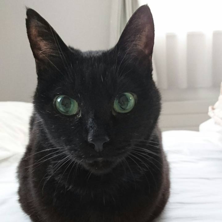 475163fe 80cb 46a2 957d 99ca6430d8d5