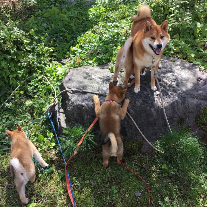 4751d9bf f1e8 4d8f 8c24 7b484b2a6588