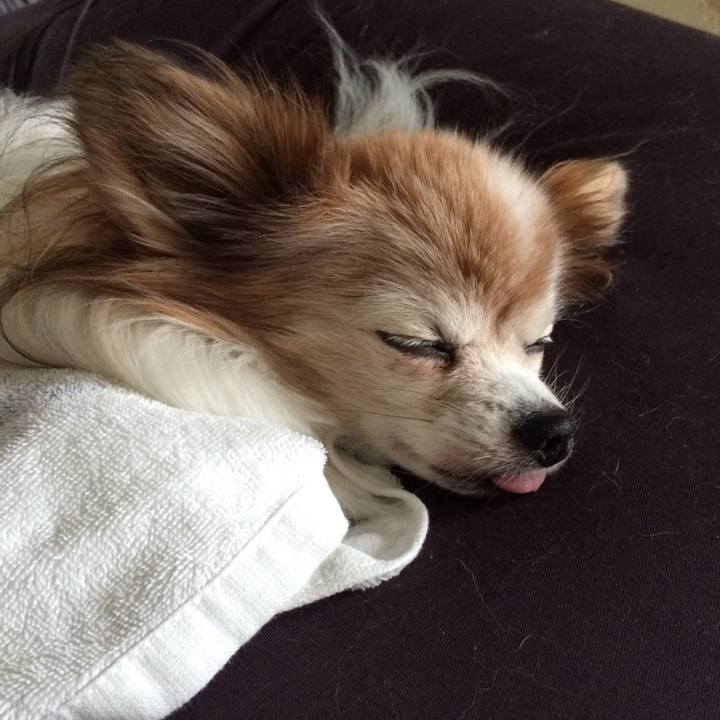 47523b22 333c 43a9 bc3c 4f538f11c7e1