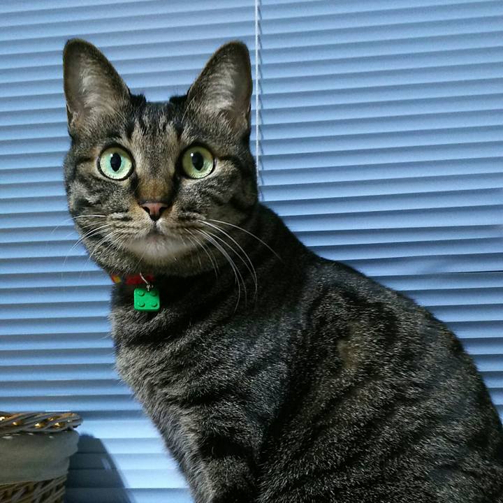 4752d7fe 3b32 4934 ab31 7538176b10bb