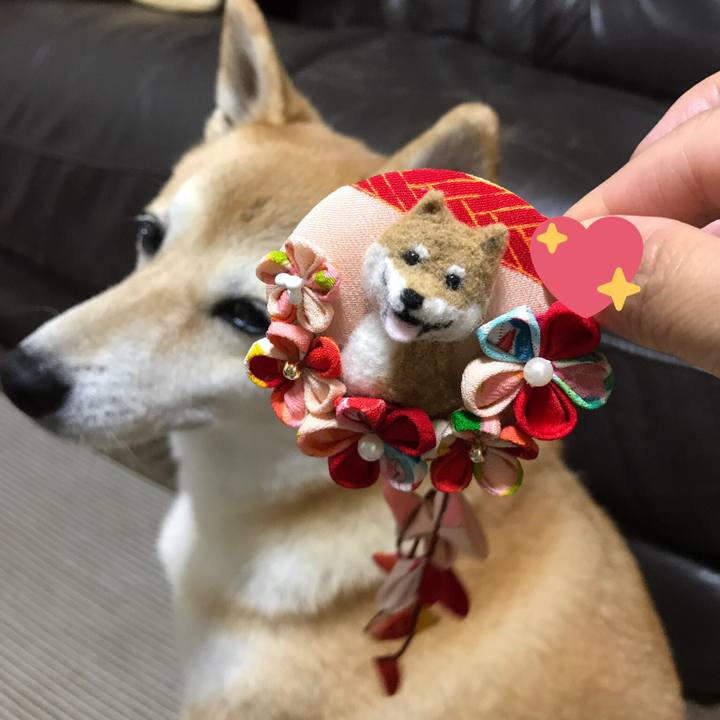 4752f311 1be9 4dcc 8923 9831f074d912