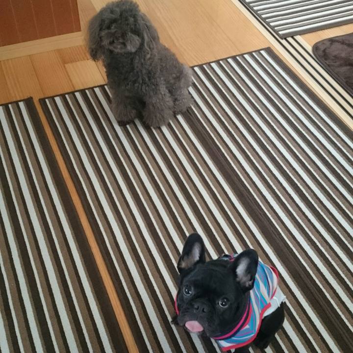 47532827 b0f5 460f 9a23 f9bbbec773bb