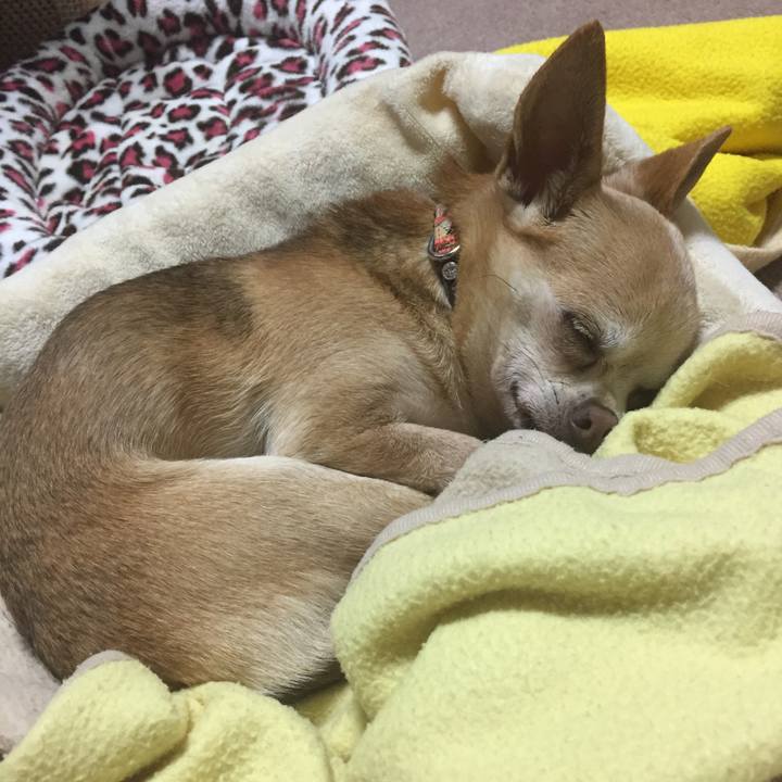 47538e1c 2276 4cd1 a778 e4f13fce1dee