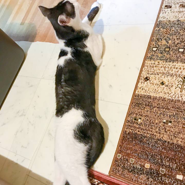 4753f622 cad9 41c7 9cb3 ce0c846eebe6