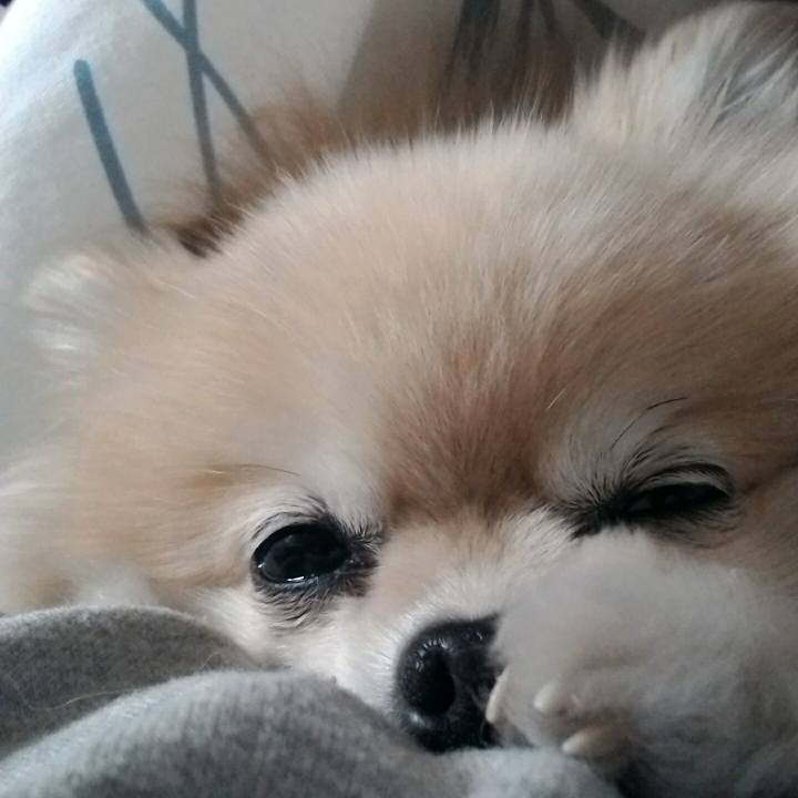 4754698f f42f 4725 a623 aec5f89b3158